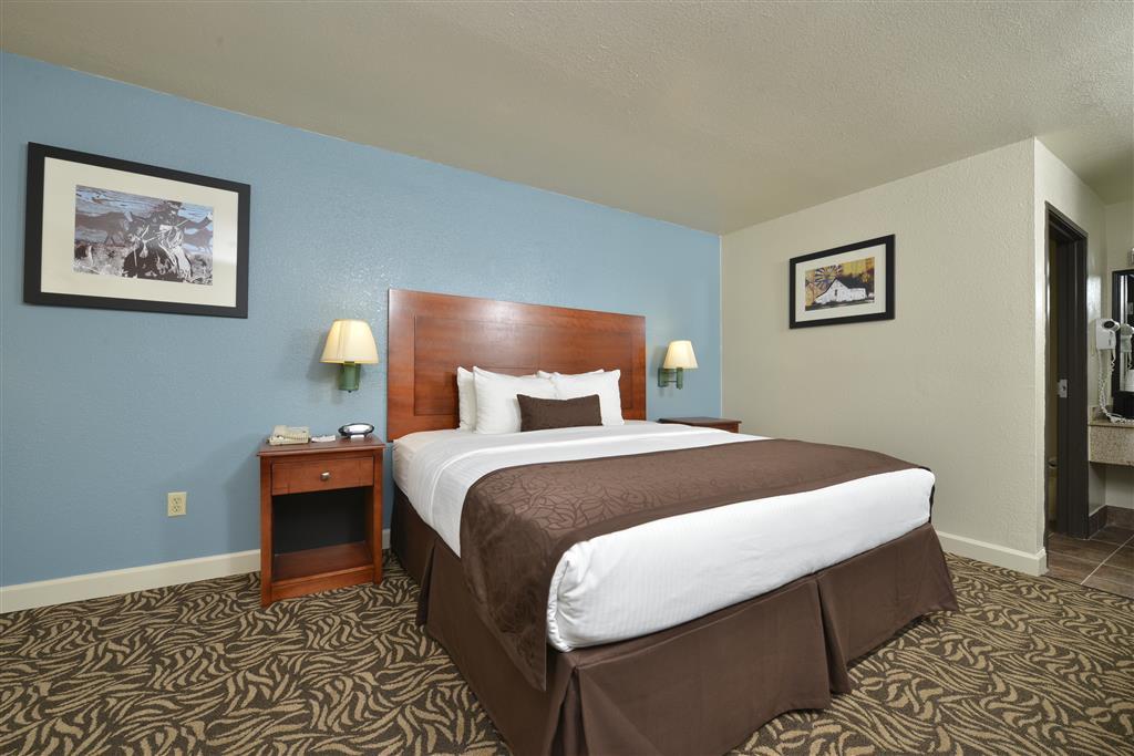 Best Western Regency Inn & Suites Gonzales Chambre photo